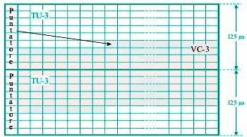 figure STM-1_AU_su2trame.jpg
