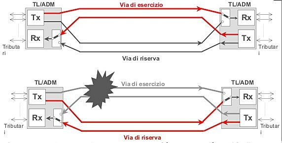 figure STM-1_prot1+1.jpg