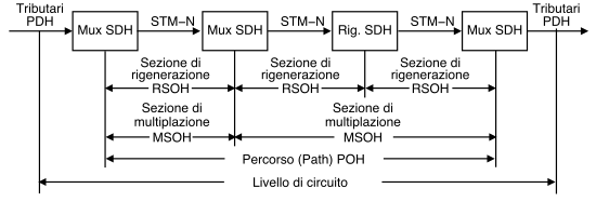 figure STM-1_sezioni.png
