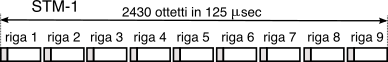 figure STM-1_trama.png