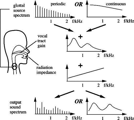 figure filtraggio-vocale.jpg