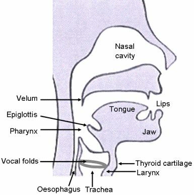 figure head.jpg