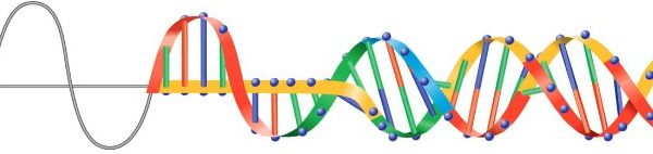 A sinusoid which becomes a DNA helix